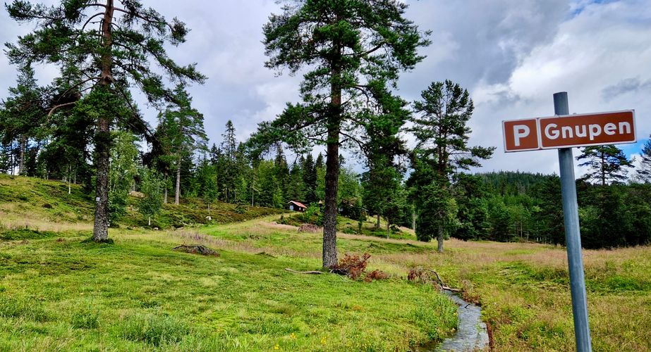 Wandeling bij Lybergsgnupen Zweden